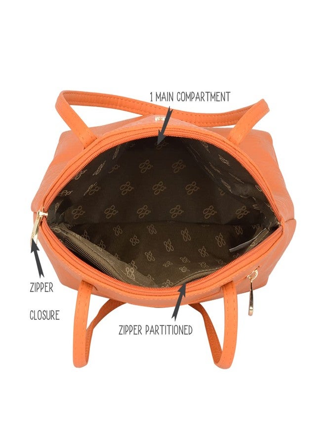 Pups&Pets طقم سرج ومقود قابل للتعديل من النايلون الناعم بنقشة مخالب للقطط والقطط الصغيرة من Pups&Pets (قد يختلف اللون) (سرج ومقود بشريط عاكس 15 مم) - Image 2